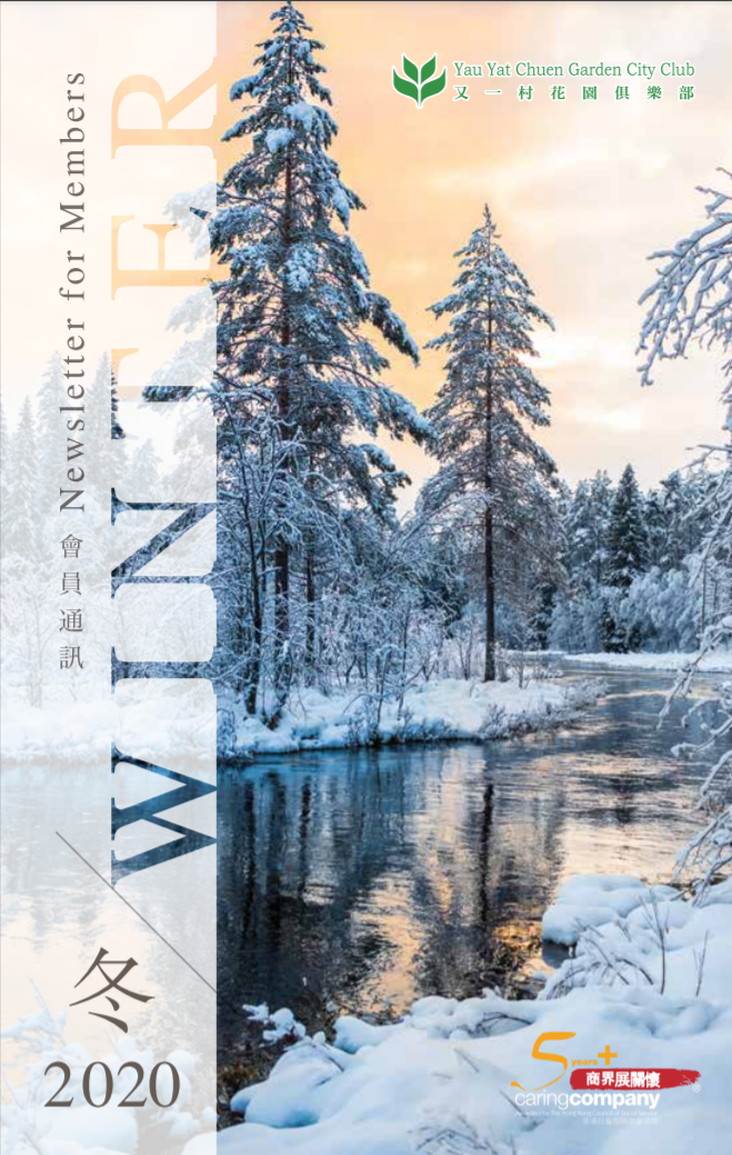 Winter Newsletter 2020